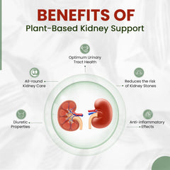 Himalayan Organics Plant Based Kidney Support Vegetarian 60 Capsules