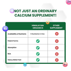 Himalayan Organics Calcium Magnesium Zinc Vitamin D3 and B12 Vegetarian 120 Tablets