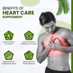 Himalayan Organics Heart Care CoQ10 Vegetarian 60 Tablets