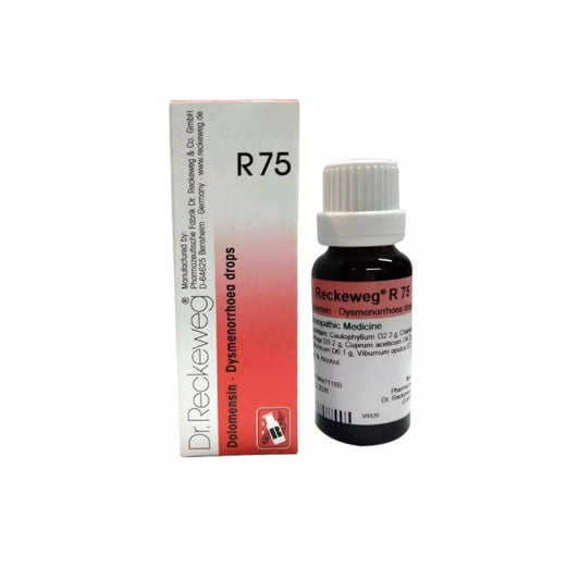 Dr Reckeweg Homöopathie R75 Dysmenorrhoe Tropfen 22 ml