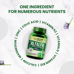 Himalayan Organics Alfalfa Calciumcitratmalat 1200 mg mit Vitamin D, K2, Mk7, B12, Zink und Magnesium, 120 vegetarische Tabletten