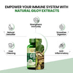 Himalayan Organics Giloy Extract 500mg Vegetarian 120 Tablets