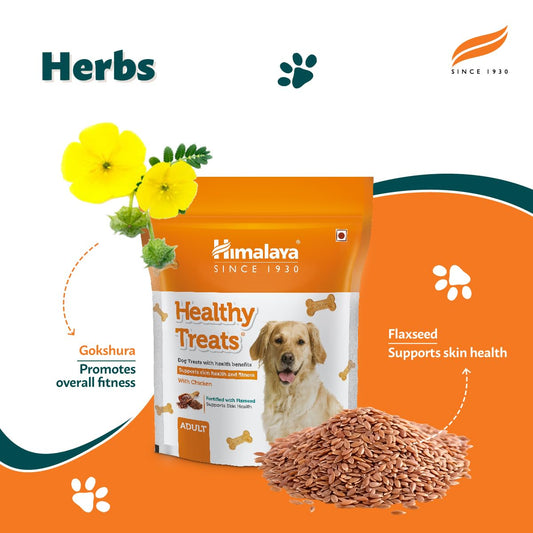 Himalaya Healthy Treats Hundepellet 1 kg (Erwachsener) (Hühnergeschmack)