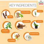 Sandu Ayurvedic Stresan Tablet