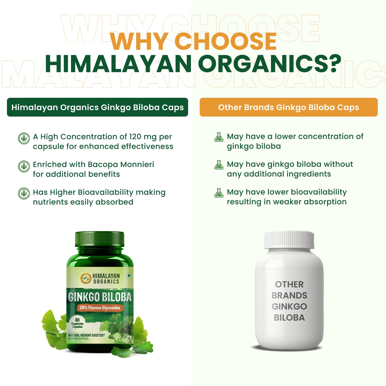 Himalayan Organics Ginkgo Biloba Vegetarian 60 Capsules