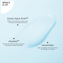 Pilgrim Cosmetics Swiss Aqua Rush™ Overnight Hydrating Cream 50g