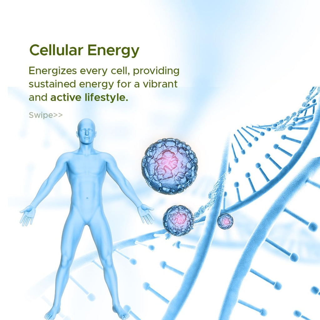 Jolly Ayurvedic Fat Go 60 Capsule