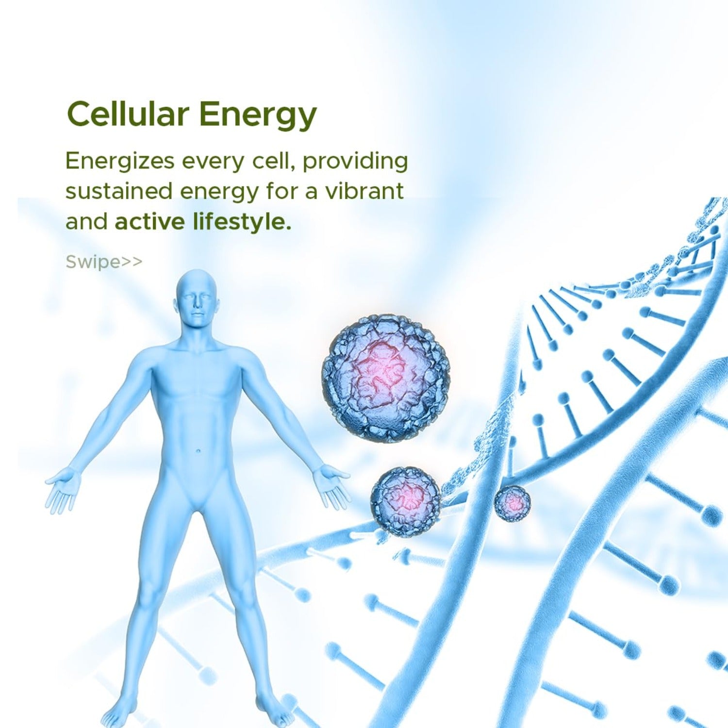 Jolly Ayurvedic Fat Go 60 Capsule