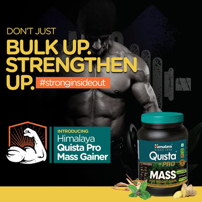 Himalaya Herbal Ayurvedic Adult Quista PRO MASS (Chocolate) Powder 1 Kg