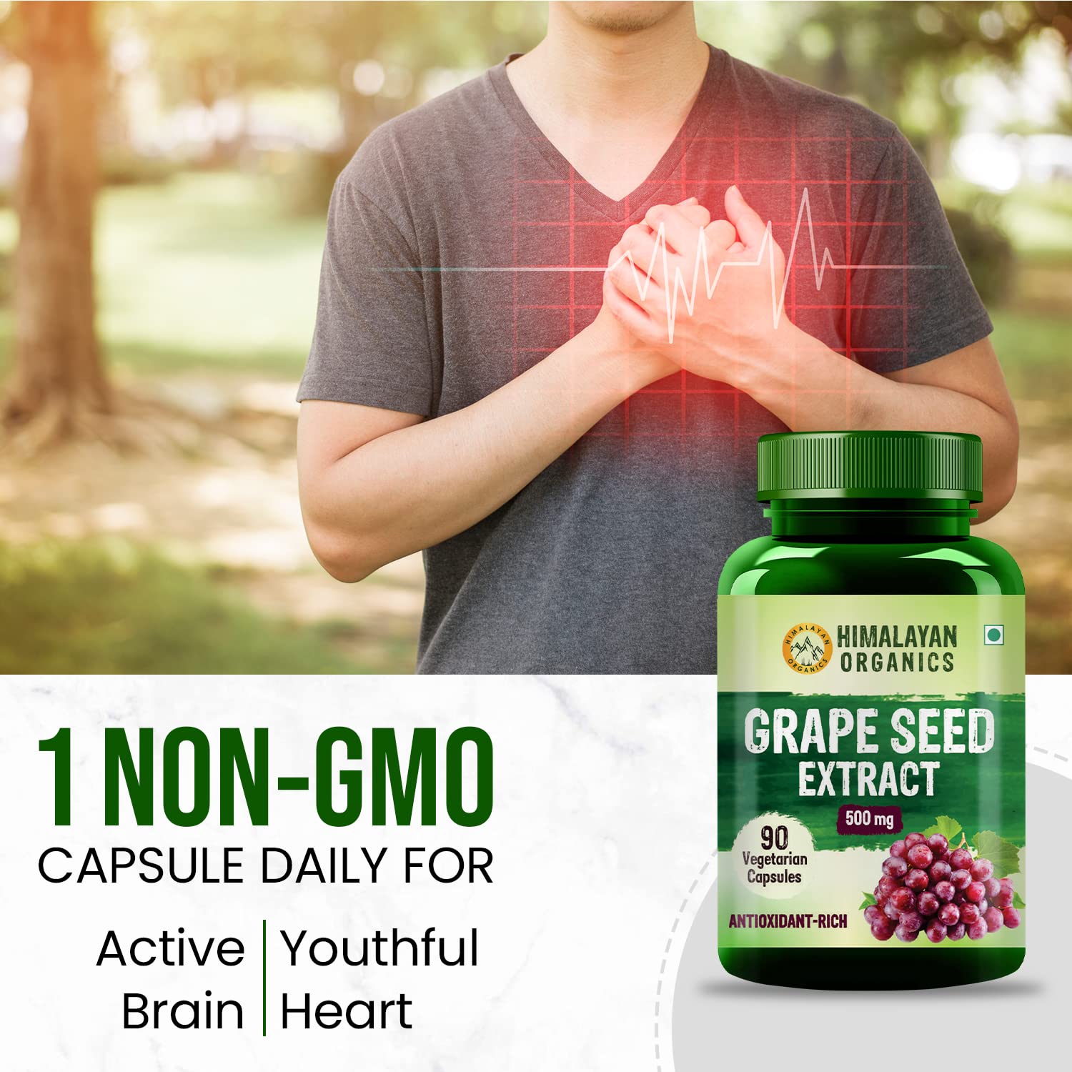 Himalayan Organics Traubenkernextrakt 500mg Vegetarisch 90 Kapseln