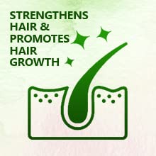 Bakson's Sunny Herbals Henna With Arnica Natural Colour & Conditioner For Hair Powder