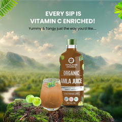 Himalayan Organics Amla Juice 1 Leter