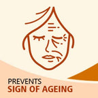 Bakson's Sunny Herbals Anti Aging With Pomegranate,Aloevera Skin Care Lotion 80ml