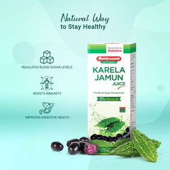 Baidyanath Ayurvedic Karela Jamun Juice 200ml