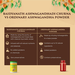 Baidyanath Ayurvedic Ashwagandha Churna Powder 100g
