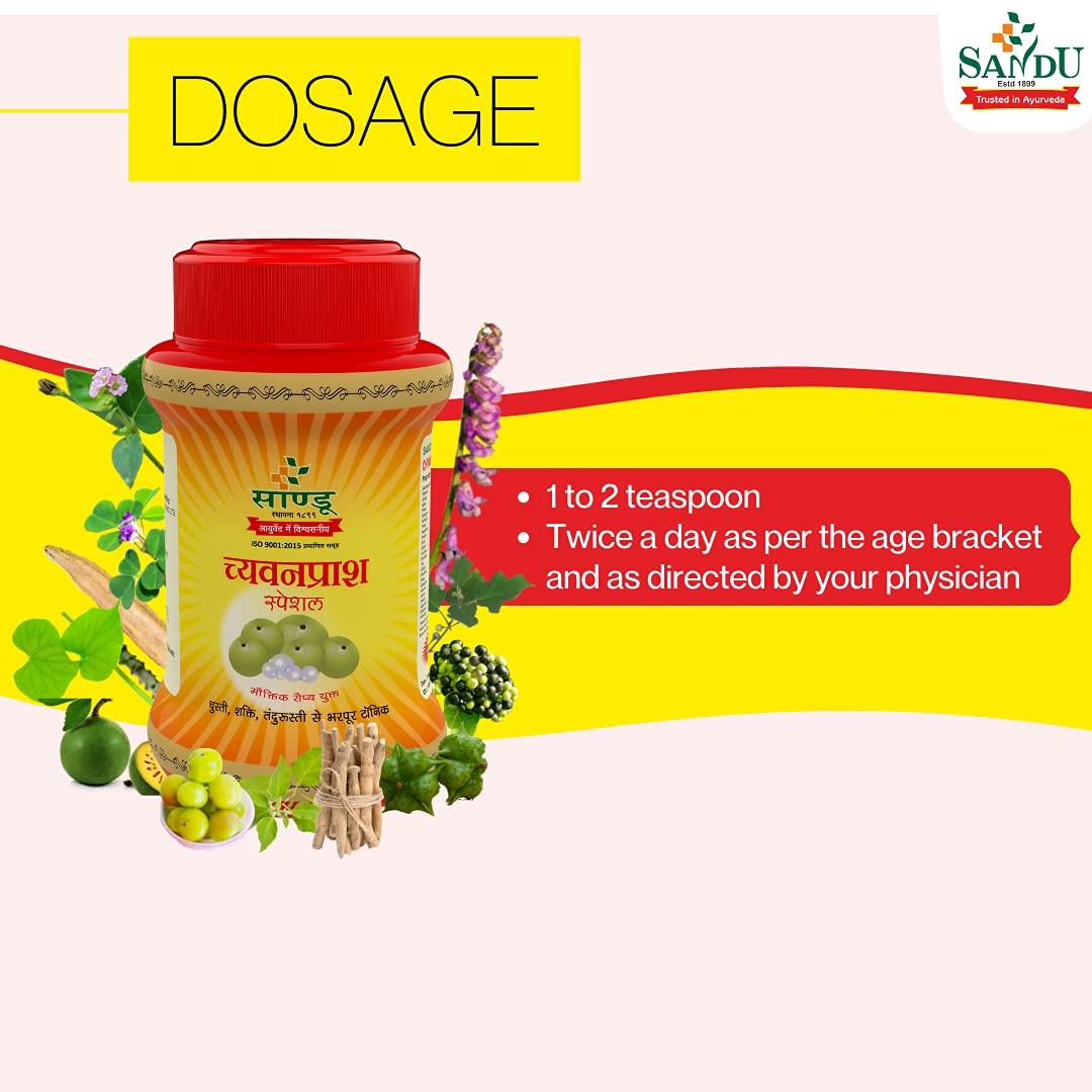 Sandu Ayurvedic Chyavanprash