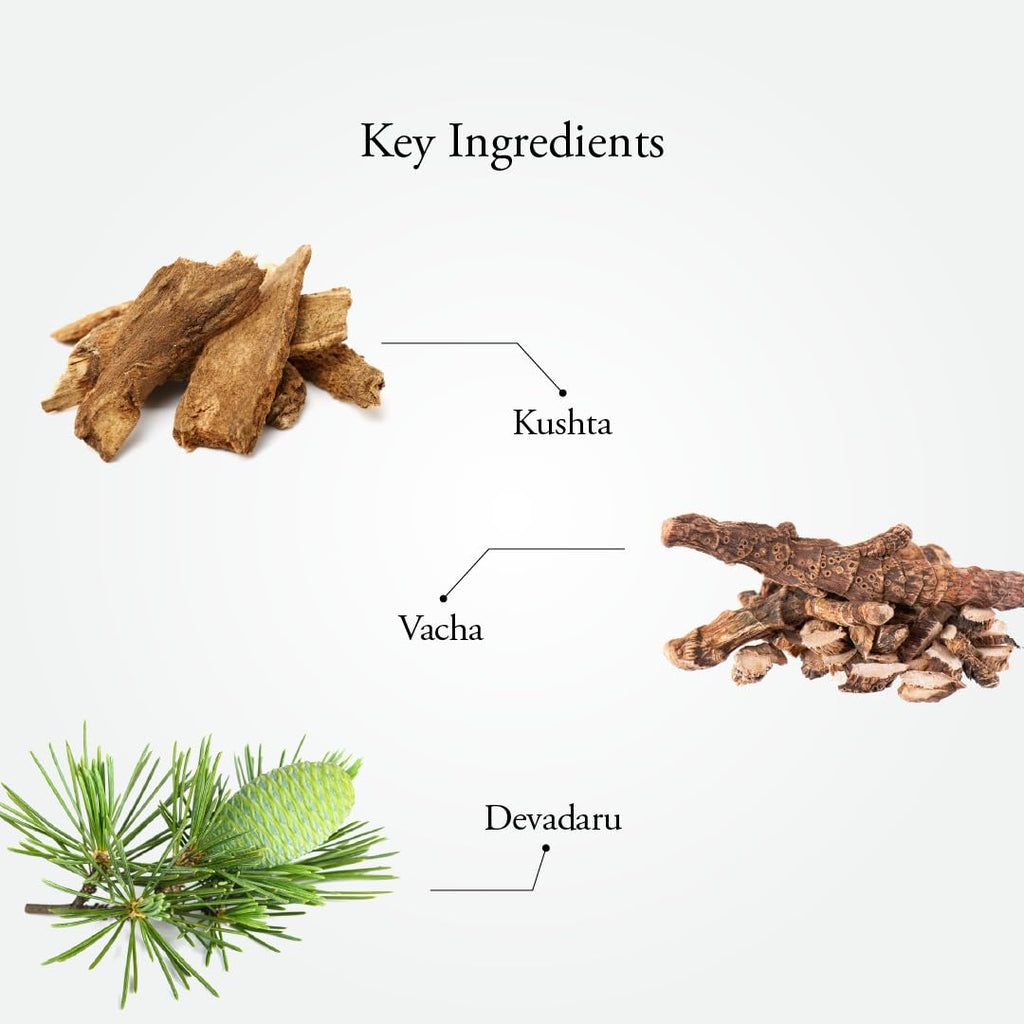 2 X Sitaram Ayurveda Saplint Plus Liniment 30ml