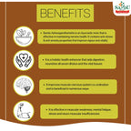 Sandu Ayurvedic Aswhagandharishta Liquid