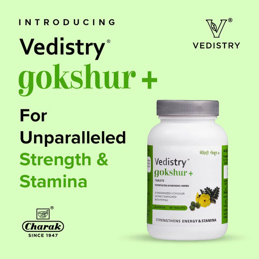 Vedistry Ayurvedic Gokshur+ Strengthens Energy Stamina 60 Tablets