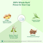 Organic India Tulsi Sweet Lemon Green Tea 25 Infusion Bag