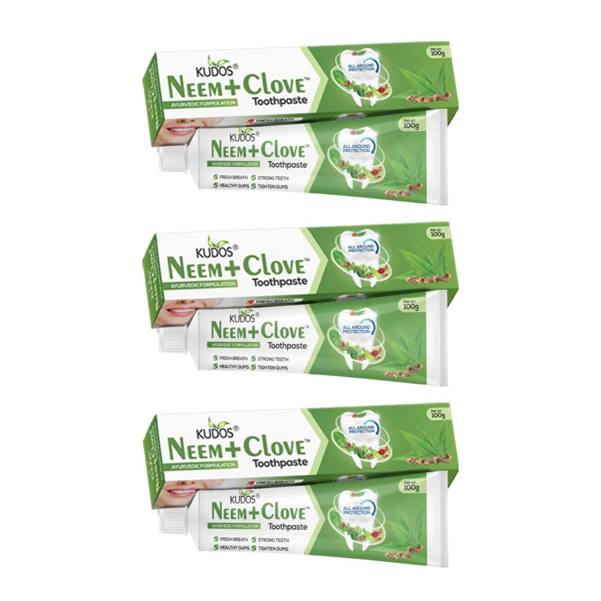 Kudos Ayureveda Neem Clove Toothpaste 100gm