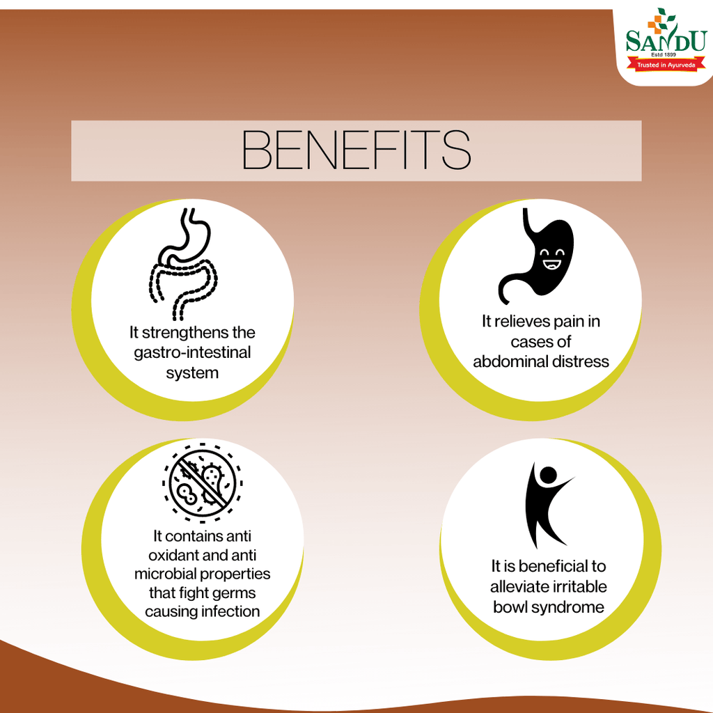 Sandu Ayurvedic Kutajarishta Liquid