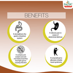 Sandu Ayurvedic Kutajarishta Liquid