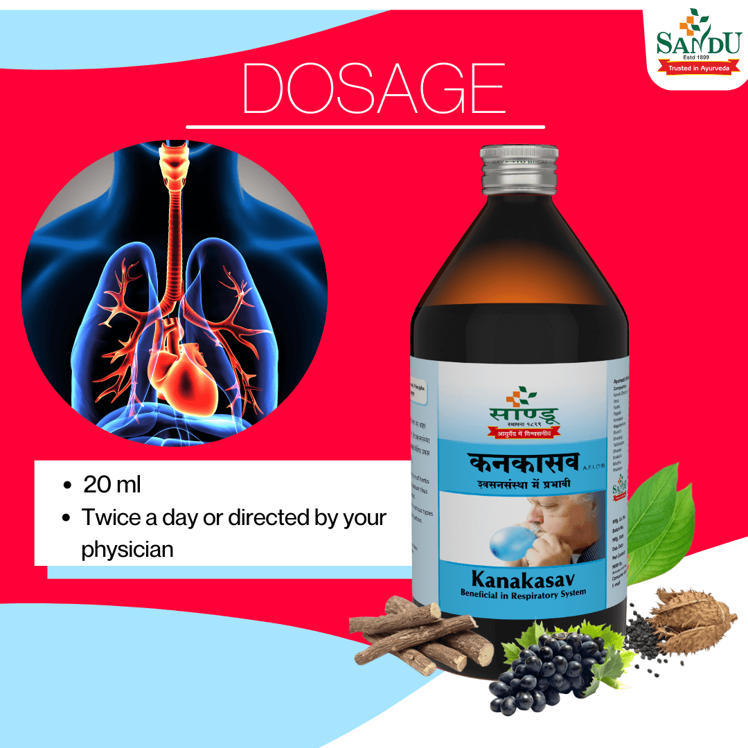 Sandu Ayurvedic Kanakasav Liquid