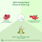 Organic India Tulsi Green Tea Pomegranate Flavour 25 Infusion Bag