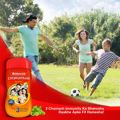 Baidyanath Ayurvedic Chyawanprash Special Immunity Booster For Strength & Stamina Paste