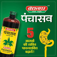 Baidyanath Ayurvedic (Jhansi) Panchasava Liquid 450ml