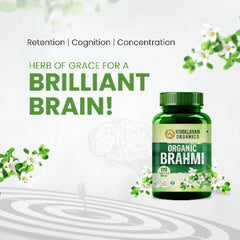 Таблетки Himalayan Organics Brahmi. Чистые травы для здоровья разума. Помогают улучшить бдительность (120 таблеток).