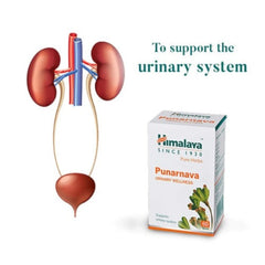 Himalaya Pure Herbs Urinary Wellness Травяной аюрведический препарат Пунарнава, омолаживающий или обновляющий организм, 60 таблеток