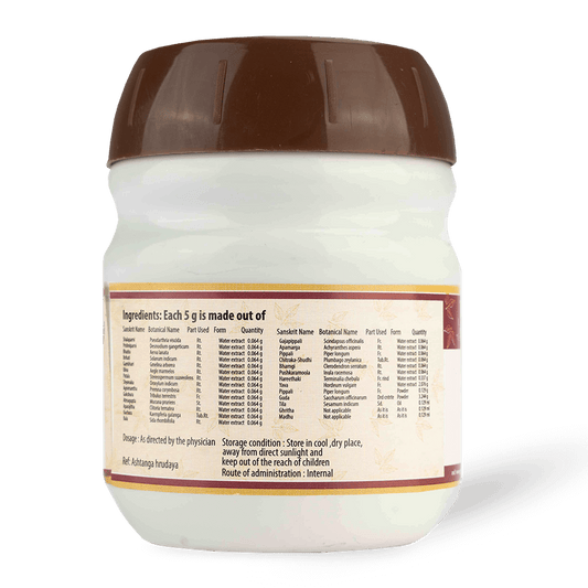 AVP Ayurvedic Agasthyarasayanam Paste 200g