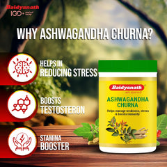 Baidyanath Ayurvedic Ashwagandha Churna Powder 100g