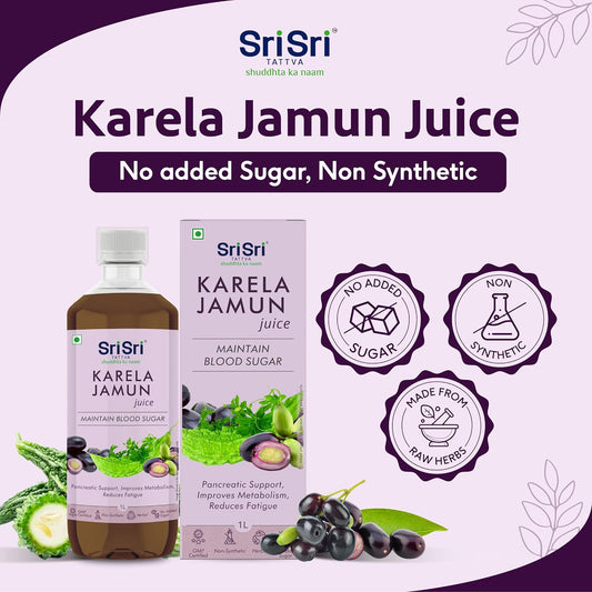 Sri Sri Tattva Ayurvedische Karela Jamun Saftformel für den Blutzuckerspiegel, flüssig