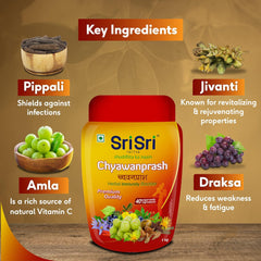 Sri Sri Tattva Ayurvedic Herbal Immunity Booster 40+ Ingredients Chyawanprash