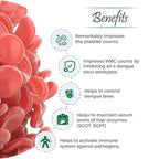 Vital Care Ayurvedic Vita Plat 100 Capsule