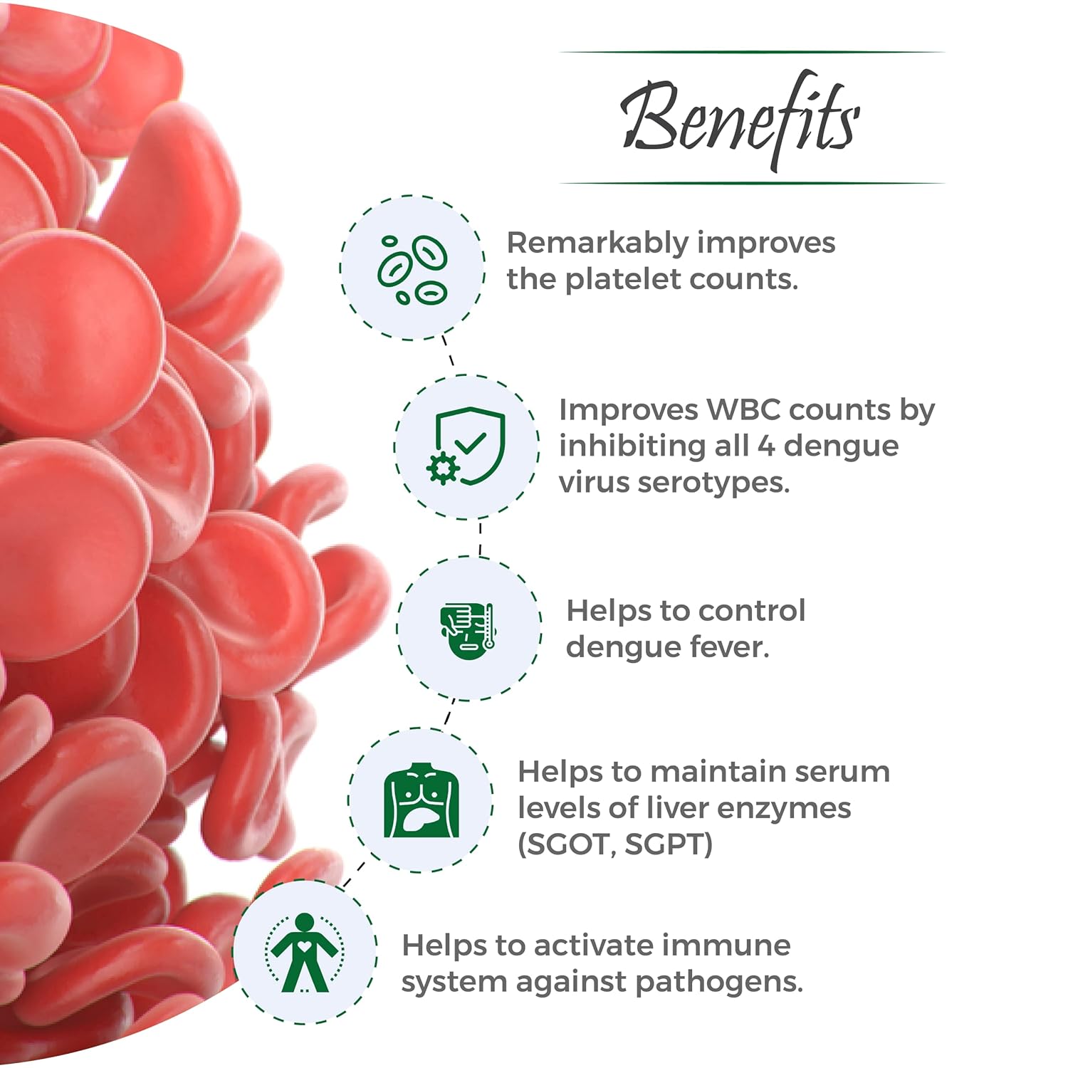 Vital Care Ayurvedic Vita Plat 100 Capsule