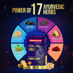 Baidyanath Ayurvedische Vita Ex Gold Kapseln