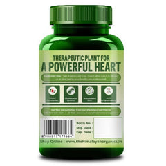 Himalayan Organics Ayurvedische Arjuna-Tabletten, unterstützt die Herzgesundheit, reguliert den Cholesterinspiegel (120 Tabletten)