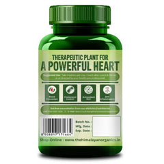 Himalayan Organics Ayurvedic Arjuna Tablets,Supports Heart Health,Manages Cholesterol Level (120 Tablets)