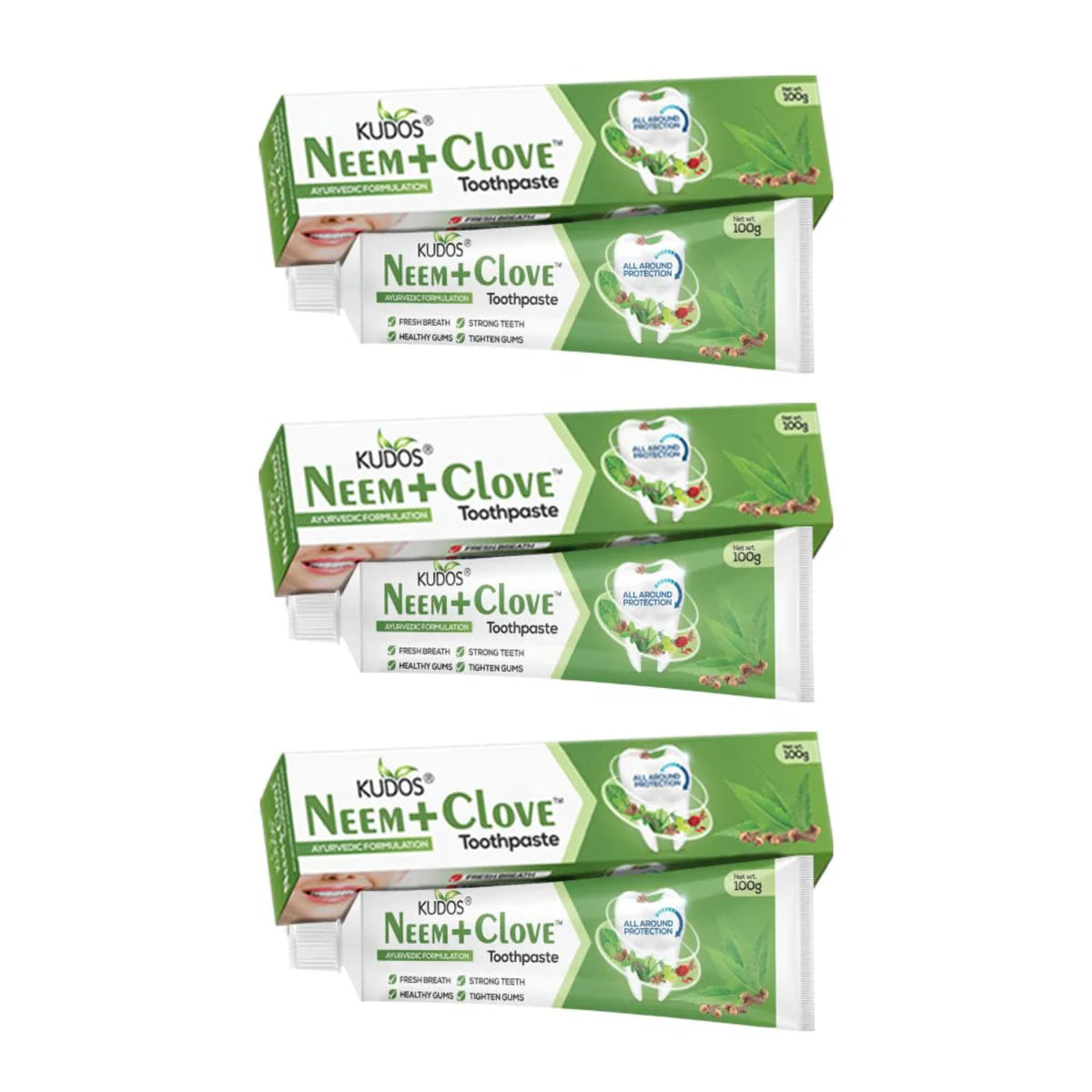 Kudos Ayureveda Neem Clove Toothpaste 100gm