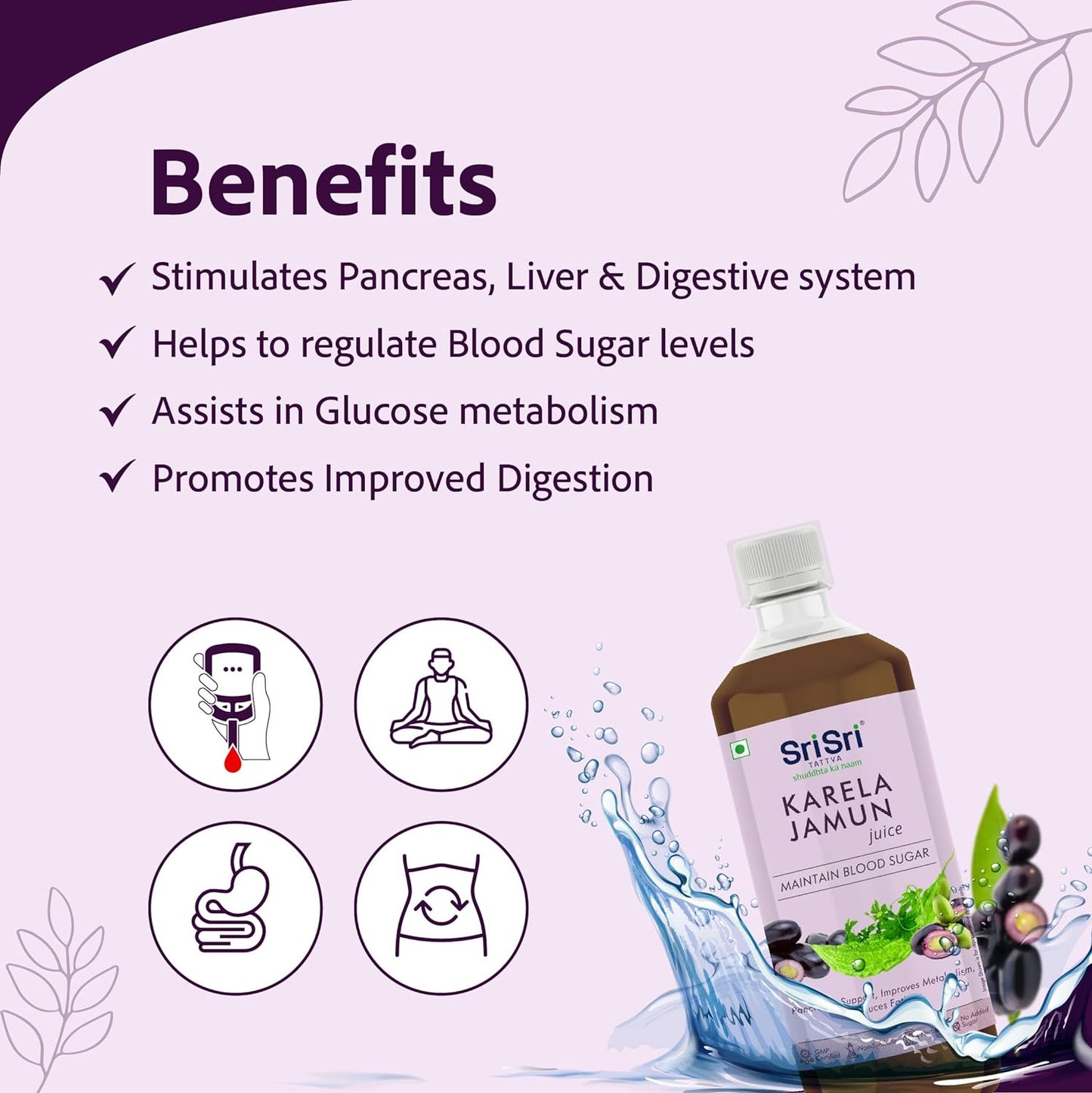 Sri Sri Tattva Ayurvedic Karela Jamun Juice Formula For Blood Sugar Levels Liquid