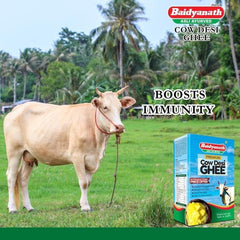 Baidyanath Ayurvedic (Jhansi) Premium Pure Cow Ghee For Immunity & Eyes