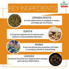 Sandu Ayurvedic Maharasnadi Kadha Liquid