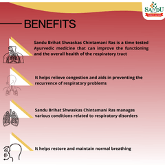 Sandu Ayurvedic Brhat Shwas Kas Chintamani Tablets