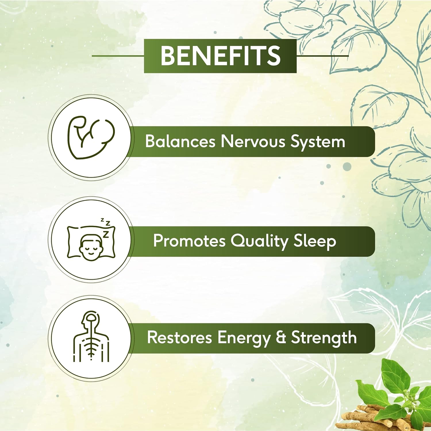 Sri Sri Tattva Ayurvedic Ashwagandha 500mg Acts as a Stress Reliever 60 Tablets