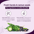 Sri Sri Tattva Ayurvedische Karela Jamun Saftformel für den Blutzuckerspiegel, flüssig