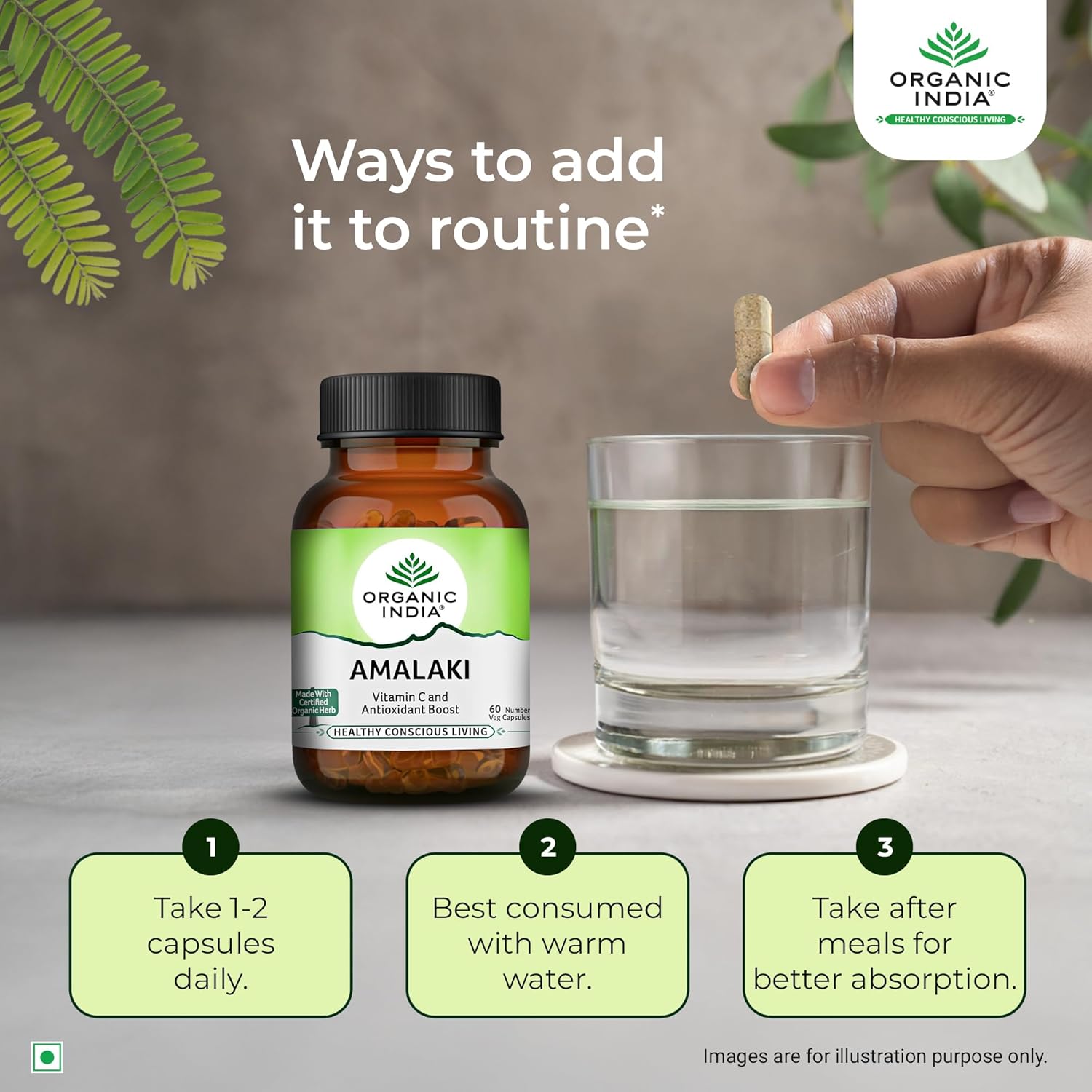 Organic India Amalaki with High Vitamin C Caapsule
